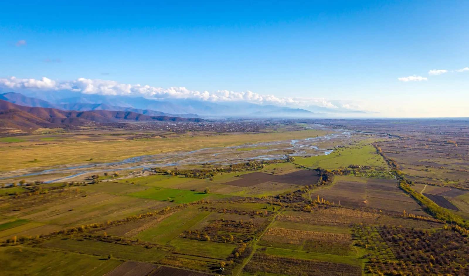 Vue aérienne de la vallée de l’Alazani en Kakhétie, avec le Grand Caucase au fond