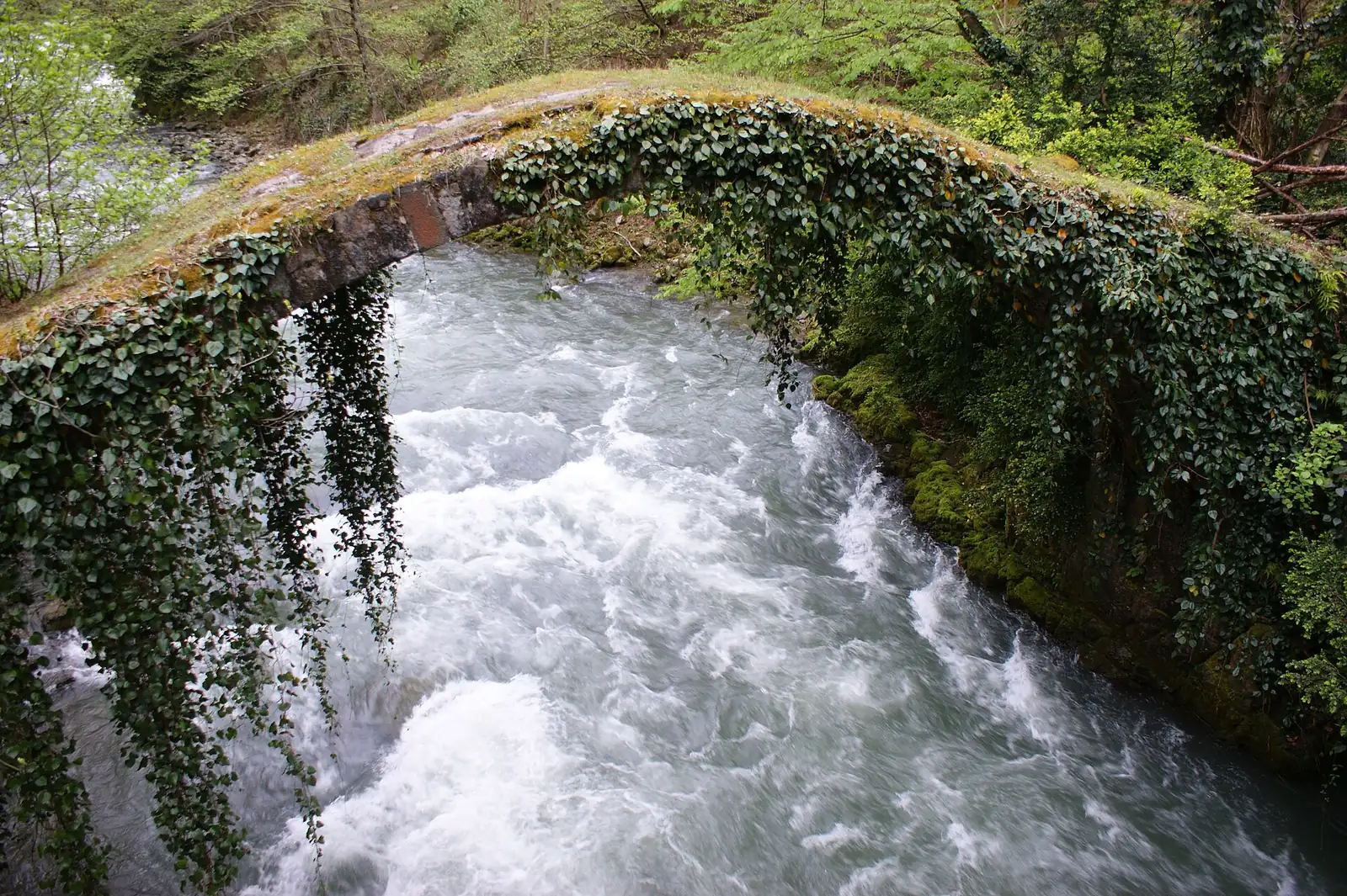 Ancien pont de pierre en arc recouvert de lierre au-dessus de la rivière Kintrishi, dans le paysage protégé de Kintrishi
