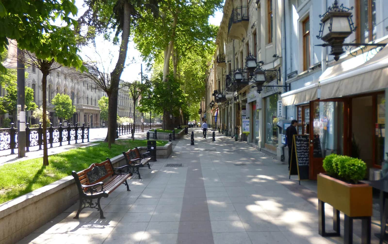 Promenade ensoleillée de l'avenue Roustaveli à Tbilissi, bancs et terrasses sous les platanes