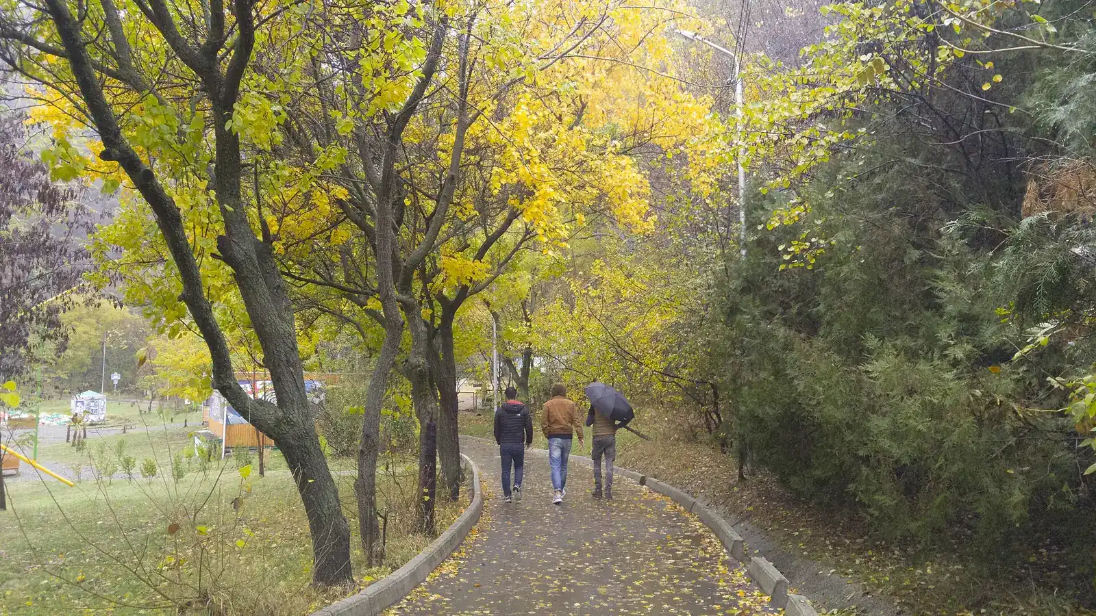 Promeneurs sur une allée aux arbres jaunes en automne près du lac aux Tortues à Tbilissi